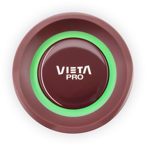 Vieta Pro PARTY BT Bluetooth Lautsprecher 40W Red